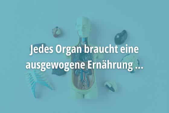 Jedes Organ braucht eine ausgewogene Ernährung