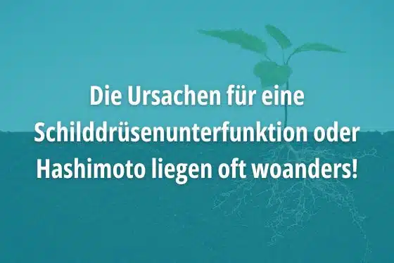 Ursachen für Schilddrüsenunterfunktion oder Hashimoto liegen oft woanders
