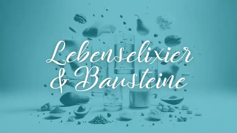 EF-Phase 2 - Lebenselixier & Bausteine Ernährungsfundament Lebenselixier und Bausteine