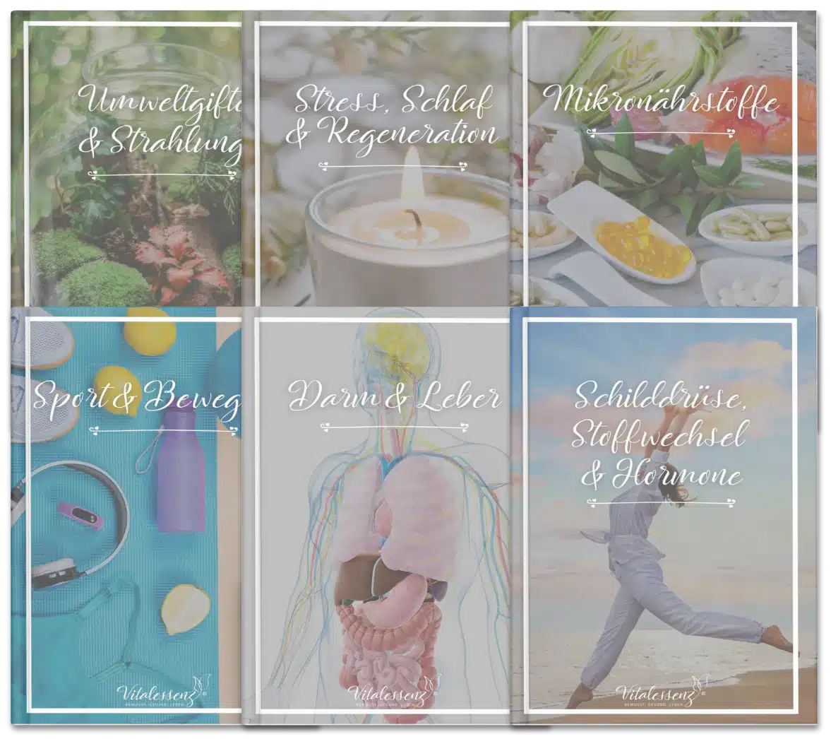 SP Mockup eBooks Onlinekurs Schilddrüsen-Power eBooks