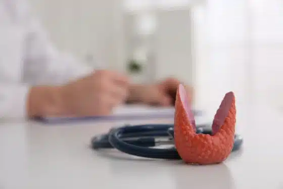 Jodreiche Ernährung