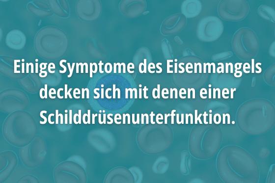 Einige Symptome des Eisenmangels decken sich mit denen einer Schilddrüsenunterfunktion.